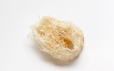 Apakah Sarang Burung Walet Halal