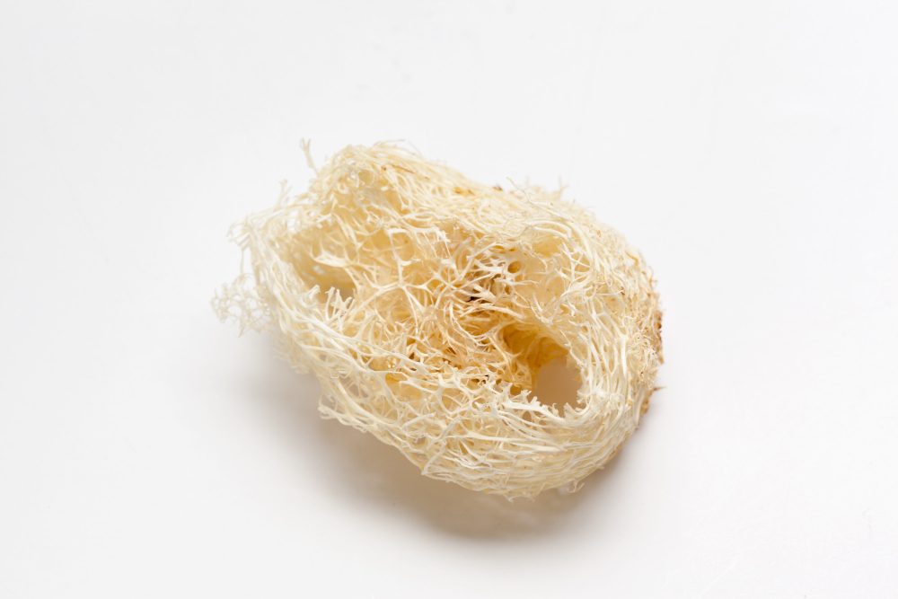 Apakah Sarang Burung Walet Halal