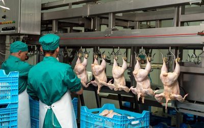 RPH Wajib Bersertifikat Halal Mulai 2026