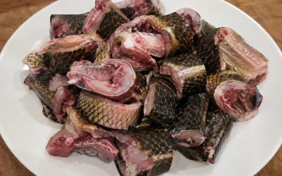 Kenapa Daging Ular Haram Dimakan? Ini Alasan dan Dalilnya